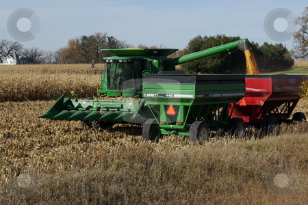 To use this stock image in your creative project, please select the size you need over to the right and click the "Add to Cart" button.
Your downloaded image will come with the Cutcaster watermark removed so don’t worry about the watermark you see on this page. Golden corn harvest stock photo, A farmer transfer's corn from his combine to a waiting wagon during the fall havest in Iowa. Iowa leads the nation and the world in corn production. by Dennis Thomsen