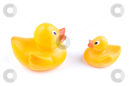 To use this stock image in your creative project, please select the size you need over to the right and click the "Add to Cart" button.
Your downloaded image will come with the Cutcaster watermark removed so don’t worry about the watermark you see on this page. Duck Advice stock photo, An adult rubber duck educates a juvenile by Steve Smith