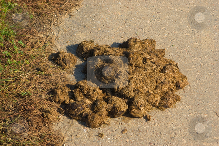 To use this stock image in your creative project, please select the size you need over to the right and click the "Add to Cart" button.
Your downloaded image will come with the Cutcaster watermark removed so don’t worry about the watermark you see on this page. Mist - Dung stock photo, Am Stra?enrand - On a street border by Wolfgang Heidasch