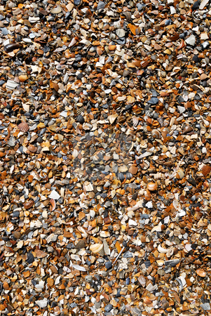 To use this stock image in your creative project, please select the size you need over to the right and click the "Add to Cart" button.
Your downloaded image will come with the Cutcaster watermark removed so don’t worry about the watermark you see on this page. Sand and shells on the beach stock photo, Details of wet clean beach. by Wino Evertz