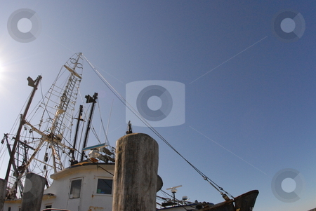 To use this stock image in your creative project, please select the size you need over to the right and click the "Add to Cart" button.
Your downloaded image will come with the Cutcaster watermark removed so don’t worry about the watermark you see on this page. Rusted fishing boat stock photo, This rusted and worn fishing boat is still in regular use. by Ashley Diamond