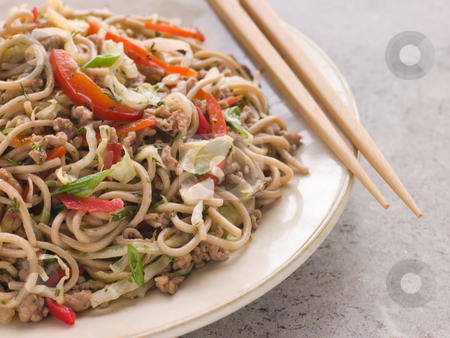 To use this stock image in your creative project, please select the size you need over to the right and click the "Add to Cart" button.
Your downloaded image will come with the Cutcaster watermark removed so don’t worry about the watermark you see on this page. Fried Soba Noodles with Pork and Cabbage stock photo, Plate of Fried Soba Noodles with Pork and Cabbage and Chopsticks by Monkey Business Images