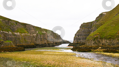 To use this stock image in your creative project, please select the size you need over to the right and click the "Add to Cart" button.
Your downloaded image will come with the Cutcaster watermark removed so don’t worry about the watermark you see on this page. Low tide stock photo, Cliffs covered with grass with low tide by Karin Claus