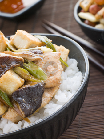 To use this stock image in your creative project, please select the size you need over to the right and click the "Add to Cart" button.
Your downloaded image will come with the Cutcaster watermark removed so don’t worry about the watermark you see on this page. Chicken and Mushroom Donburi with Fried Tofu stock photo, Bowl of Chicken and Mushroom Donburi with Fried Tofu by Monkey Business Images