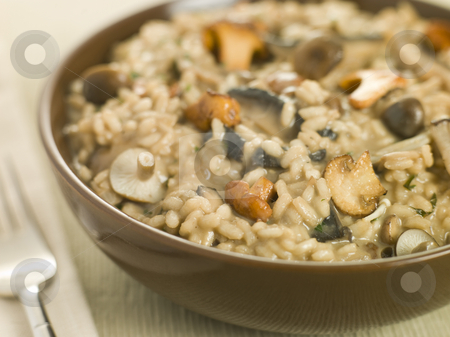 To use this stock image in your creative project, please select the size you need over to the right and click the "Add to Cart" button.
Your downloaded image will come with the Cutcaster watermark removed so don’t worry about the watermark you see on this page. Bowl of Wild Mushroom Risotto stock photo, Bowl of Wild Mushroom Risotto with fork by Monkey Business Images