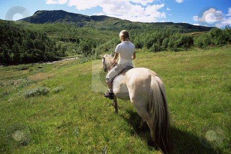 To use this stock image in your creative project, please select the size you need over to the right and click the "Add to Cart" button.
Your downloaded image will come with the Cutcaster watermark removed so don’t worry about the watermark you see on this page. Rear view of young woman riding horse in rural setting stock photo, by Monkey Business Images