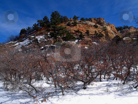 To use this stock image in your creative project, please select the size you need over to the right and click the "Add to Cart" button.
Your downloaded image will come with the Cutcaster watermark removed so don’t worry about the watermark you see on this page. February Sky stock photo, February among the rock formations of Roxborough State Park, Colorado. by John McLaird