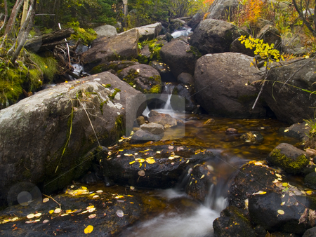 To use this stock image in your creative project, please select the size you need over to the right and click the "Add to Cart" button.
Your downloaded image will come with the Cutcaster watermark removed so don’t worry about the watermark you see on this page. Mill Creek Autumn stock photo, Mill Creek Basin Trail - Rocky Mountain National Park by John McLaird