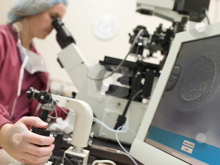 To use this stock image in your creative project, please select the size you need over to the right and click the "Add to Cart" button.
Your downloaded image will come with the Cutcaster watermark removed so don’t worry about the watermark you see on this page. Embryologist perfoming intra cytoplasmic sperm injection stock photo, Embryologist perfoming intra cytoplasmic sperm injection (ICSI) by Monkey Business Images