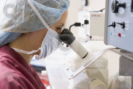 To use this stock image in your creative project, please select the size you need over to the right and click the "Add to Cart" button.
Your downloaded image will come with the Cutcaster watermark removed so don’t worry about the watermark you see on this page. Embryologist using microscope stock photo, Embryologist examining folicular fluid using microscope by Monkey Business Images