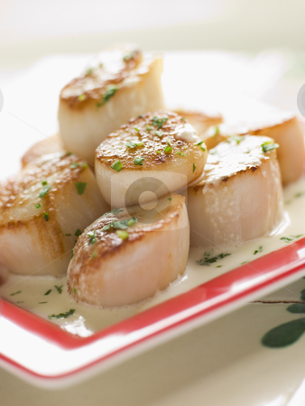 To use this stock image in your creative project, please select the size you need over to the right and click the "Add to Cart" button.
Your downloaded image will come with the Cutcaster watermark removed so don’t worry about the watermark you see on this page. Seared Scallops with Cava Cream and Herb Sauce stock photo, by Monkey Business Images