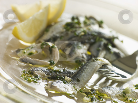 To use this stock image in your creative project, please select the size you need over to the right and click the "Add to Cart" button.
Your downloaded image will come with the Cutcaster watermark removed so don’t worry about the watermark you see on this page. Anchovies marinated in Herbs Garlic and Lemon stock photo, by Monkey Business Images