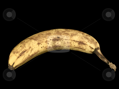 To use this stock image in your creative project, please select the size you need over to the right and click the "Add to Cart" button.
Your downloaded image will come with the Cutcaster watermark removed so don’t worry about the watermark you see on this page. American Plenty, Still Life In Detail, Banana stock photo, A banana photographed over a jet black background. The twelvth image, and eithth constituent object image of the American Plenty, Still Life In Detail series of images by Gary W. Sherwin