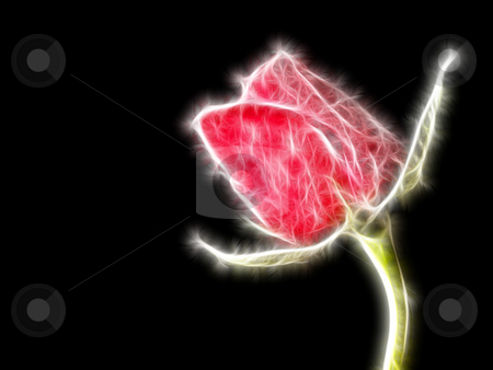 To use this stock image in your creative project, please select the size you need over to the right and click the "Add to Cart" button.
Your downloaded image will come with the Cutcaster watermark removed so don’t worry about the watermark you see on this page. Christmas Rose stock photo, A single red rose taken with a black background then Manipulated by Stephen Inglis