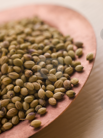 To use this stock image in your creative project, please select the size you need over to the right and click the "Add to Cart" button.
Your downloaded image will come with the Cutcaster watermark removed so don’t worry about the watermark you see on this page. Dish of Coriander Seeds stock photo, Close up Dish of Coriander Seeds by Monkey Business Images