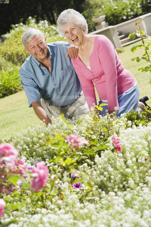 To use this stock image in your creative project, please select the size you need over to the right and click the "Add to Cart" button.
Your downloaded image will come with the Cutcaster watermark removed so don’t worry about the watermark you see on this page. Senior couple working in garden stock photo, Senior couple working in garden flowerbed by Monkey Business Images