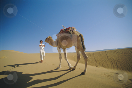 To use this stock image in your creative project, please select the size you need over to the right and click the "Add to Cart" button.
Your downloaded image will come with the Cutcaster watermark removed so don’t worry about the watermark you see on this page. Woman leading camel across desert stock photo, by Monkey Business Images