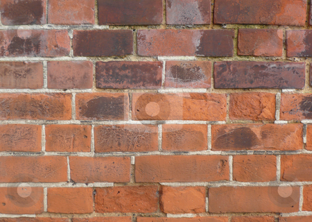 To use this stock image in your creative project, please select the size you need over to the right and click the "Add to Cart" button.
Your downloaded image will come with the Cutcaster watermark removed so don’t worry about the watermark you see on this page. Red brick wall stock photo, Old fashioned type red brick wall showing the sign of age by Michael Travers