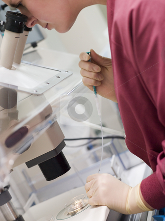 To use this stock image in your creative project, please select the size you need over to the right and click the "Add to Cart" button.
Your downloaded image will come with the Cutcaster watermark removed so don’t worry about the watermark you see on this page. Embryologist adding sperm to egg stock photo, Embryologist adding sperm to egg in laboratory by Monkey Business Images