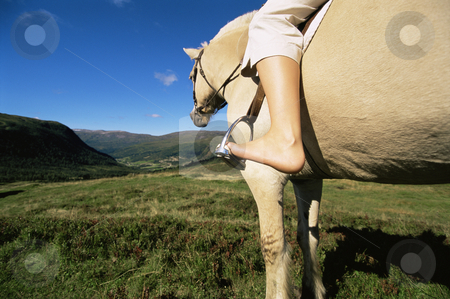 To use this stock image in your creative project, please select the size you need over to the right and click the "Add to Cart" button.
Your downloaded image will come with the Cutcaster watermark removed so don’t worry about the watermark you see on this page. Young woman riding horse in rural setting stock photo, by Monkey Business Images