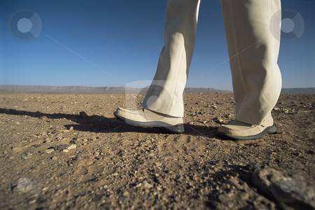 To use this stock image in your creative project, please select the size you need over to the right and click the "Add to Cart" button.
Your downloaded image will come with the Cutcaster watermark removed so don’t worry about the watermark you see on this page. Man walking in desert, low section, , stock photo, by Monkey Business Images