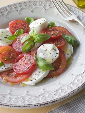 To use this stock image in your creative project, please select the size you need over to the right and click the "Add to Cart" button.
Your downloaded image will come with the Cutcaster watermark removed so don’t worry about the watermark you see on this page. Tomato Mozzarella Cheese and Basil Salad stock photo, Plate of Tomato Mozzarella Cheese and Basil Salad by Monkey Business Images