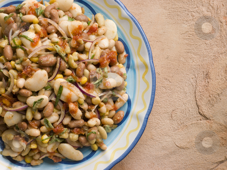 To use this stock image in your creative project, please select the size you need over to the right and click the "Add to Cart" button.
Your downloaded image will come with the Cutcaster watermark removed so don’t worry about the watermark you see on this page. Tuscan Bean Salad stock photo, Plate of Tuscan Bean Salad by Monkey Business Images