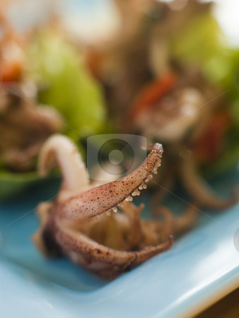 To use this stock image in your creative project, please select the size you need over to the right and click the "Add to Cart" button.
Your downloaded image will come with the Cutcaster watermark removed so don’t worry about the watermark you see on this page. Baby Squid and Roasted Chili Salad stock photo, by Monkey Business Images