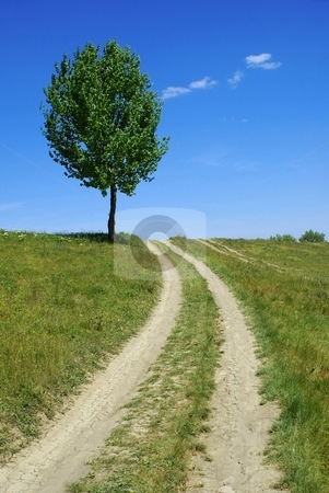To use this stock image in your creative project, please select the size you need over to the right and click the "Add to Cart" button.
Your downloaded image will come with the Cutcaster watermark removed so don’t worry about the watermark you see on this page. Dirt road tree stock photo, Dirt road tree - green fields, paths, the blue sky, mountain by Milsi Art