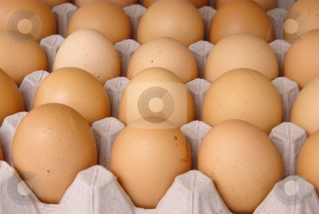 To use this stock image in your creative project, please select the size you need over to the right and click the "Add to Cart" button.
Your downloaded image will come with the Cutcaster watermark removed so don’t worry about the watermark you see on this page. Raw eggs stock photo, Plenty of eggs in paper container. Raw food. by Milsi Art