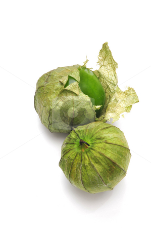 To use this stock image in your creative project, please select the size you need over to the right and click the "Add to Cart" button.
Your downloaded image will come with the Cutcaster watermark removed so don’t worry about the watermark you see on this page. Tomatillo With Husk stock photo, Tomatillos with husks on with one partiall pealed by Lynn Bendickson