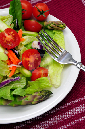 To use this stock image in your creative project, please select the size you need over to the right and click the "Add to Cart" button.
Your downloaded image will come with the Cutcaster watermark removed so don’t worry about the watermark you see on this page. Dinner Salad stock photo, Salad with cherry tomatos, asparagas on a white plate by Lynn Bendickson