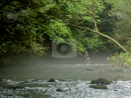 To use this stock image in your creative project, please select the size you need over to the right and click the "Add to Cart" button.
Your downloaded image will come with the Cutcaster watermark removed so don’t worry about the watermark you see on this page. Fishing The Fog Bank stock photo, A Solitary Fly Fisherman casts to wary trout hidden by the fog on a hot summer afternoon along Clark's Creek in Pennsylvania's Dauphin County. by Gary W. Sherwin