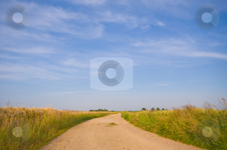 To use this stock image in your creative project, please select the size you need over to the right and click the "Add to Cart" button.
Your downloaded image will come with the Cutcaster watermark removed so don’t worry about the watermark you see on this page. Country road trough farmlandscape stock photo, Country road trough farmlandscape with a blue sky by Karin Claus