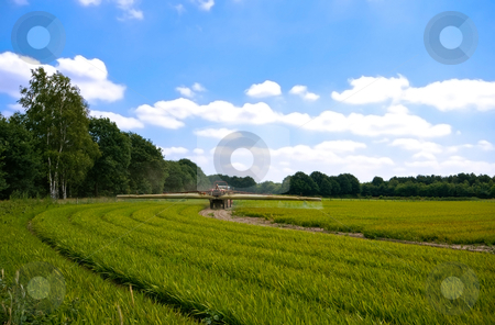 To use this stock image in your creative project, please select the size you need over to the right and click the "Add to Cart" button.
Your downloaded image will come with the Cutcaster watermark removed so don’t worry about the watermark you see on this page. Bright green agriculture farmland stock photo, Bright green agriculture farmland with tractor sprinkle-sweeper installation with cloudy blue sky by Karin Claus