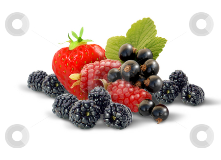 To use this stock image in your creative project, please select the size you need over to the right and click the "Add to Cart" button.
Your downloaded image will come with the Cutcaster watermark removed so don’t worry about the watermark you see on this page. Fresh Berries stock photo, Selection of fresh berries by James Rooney