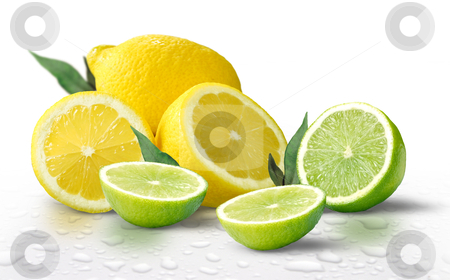To use this stock image in your creative project, please select the size you need over to the right and click the "Add to Cart" button.
Your downloaded image will come with the Cutcaster watermark removed so don’t worry about the watermark you see on this page. Fresh Fruit stock photo, Fresh Lemons and Limes by James Rooney