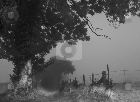 To use this stock image in your creative project, please select the size you need over to the right and click the "Add to Cart" button.
Your downloaded image will come with the Cutcaster watermark removed so don’t worry about the watermark you see on this page. Misty lane normandy stock photo, Mist over normandy fields and trees by Midas Mould