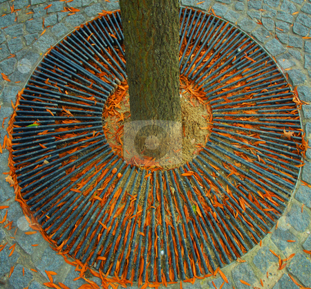 To use this stock image in your creative project, please select the size you need over to the right and click the "Add to Cart" button.
Your downloaded image will come with the Cutcaster watermark removed so don’t worry about the watermark you see on this page. Wrought iron disc stock photo, Autumn leaves gather in the grid at the bottom of an urban tree by Midas Mould