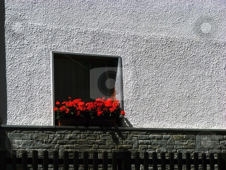 To use this stock image in your creative project, please select the size you need over to the right and click the "Add to Cart" button.
Your downloaded image will come with the Cutcaster watermark removed so don’t worry about the watermark you see on this page. Window stock photo, A windowwith many red flowers on a gray wall by Fabio Alcini