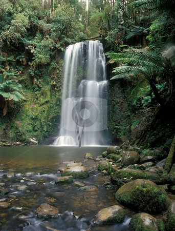 To use this stock image in your creative project, please select the size you need over to the right and click the "Add to Cart" button.
Your downloaded image will come with the Cutcaster watermark removed so don’t worry about the watermark you see on this page. Beauchamp Falls stock photo, A pleasant Beauchamp Falls in the heart of the Great Otway National Park by Seregey Korotkov