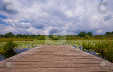 To use this stock image in your creative project, please select the size you need over to the right and click the "Add to Cart" button.
Your downloaded image will come with the Cutcaster watermark removed so don’t worry about the watermark you see on this page. Lily pond with clouds stock photo, Pond with pier covered with lilies on a cloudy day by Karin Claus