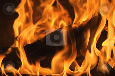 To use this stock image in your creative project, please select the size you need over to the right and click the "Add to Cart" button.
Your downloaded image will come with the Cutcaster watermark removed so don’t worry about the watermark you see on this page. Abstract Flames stock photo, Abstract Macro of Flames Background by Andy Dean
