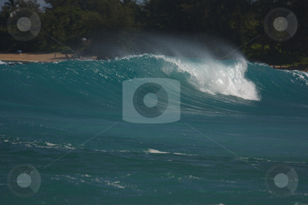 To use this stock image in your creative project, please select the size you need over to the right and click the "Add to Cart" button.
Your downloaded image will come with the Cutcaster watermark removed so don’t worry about the watermark you see on this page. Dramatic Shorebreak Wave stock photo, Dramatic Shorebreak Wave on a clear morning. by Andy Dean
