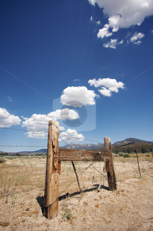 To use this stock image in your creative project, please select the size you need over to the right and click the "Add to Cart" button.
Your downloaded image will come with the Cutcaster watermark removed so don’t worry about the watermark you see on this page. Aged Fence and Clouds stock photo, Puffy Storm Clouds Forming Over Field and Aged Fence on a blue sky. by Andy Dean
