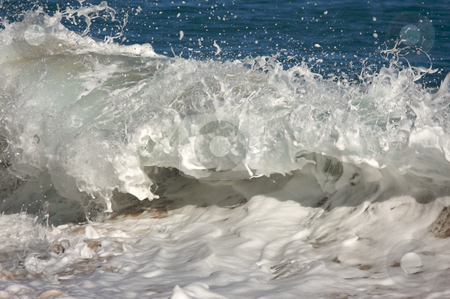 To use this stock image in your creative project, please select the size you need over to the right and click the "Add to Cart" button.
Your downloaded image will come with the Cutcaster watermark removed so don’t worry about the watermark you see on this page. Dramatic Shorebreak Wave stock photo, Dramatic Shorebreak Wave on a clear morning. by Andy Dean
