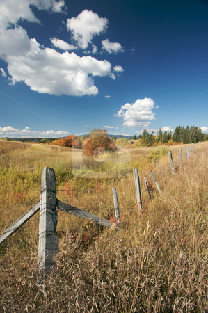 To use this stock image in your creative project, please select the size you need over to the right and click the "Add to Cart" button.
Your downloaded image will come with the Cutcaster watermark removed so don’t worry about the watermark you see on this page. Beautiful Fall Landscape with Rustic Fence stock photo, Beautiful Fall Landscape with Rustic Fence and Clouds by Andy Dean