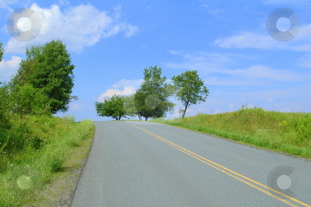 To use this stock image in your creative project, please select the size you need over to the right and click the "Add to Cart" button.
Your downloaded image will come with the Cutcaster watermark removed so don’t worry about the watermark you see on this page. Into the unknown stock photo, Road going up a hill to the summit by Richard Sheehan