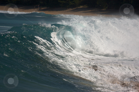 To use this stock image in your creative project, please select the size you need over to the right and click the "Add to Cart" button.
Your downloaded image will come with the Cutcaster watermark removed so don’t worry about the watermark you see on this page. Dramatic Shorebreak Wave stock photo, Dramatic Shorebreak Wave on a clear morning. by Andy Dean