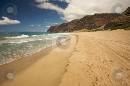 To use this stock image in your creative project, please select the size you need over to the right and click the "Add to Cart" button.
Your downloaded image will come with the Cutcaster watermark removed so don’t worry about the watermark you see on this page. Polihale Beach, Kauai stock photo, Polihale Beach on Kauai, Hawaii by Andy Dean